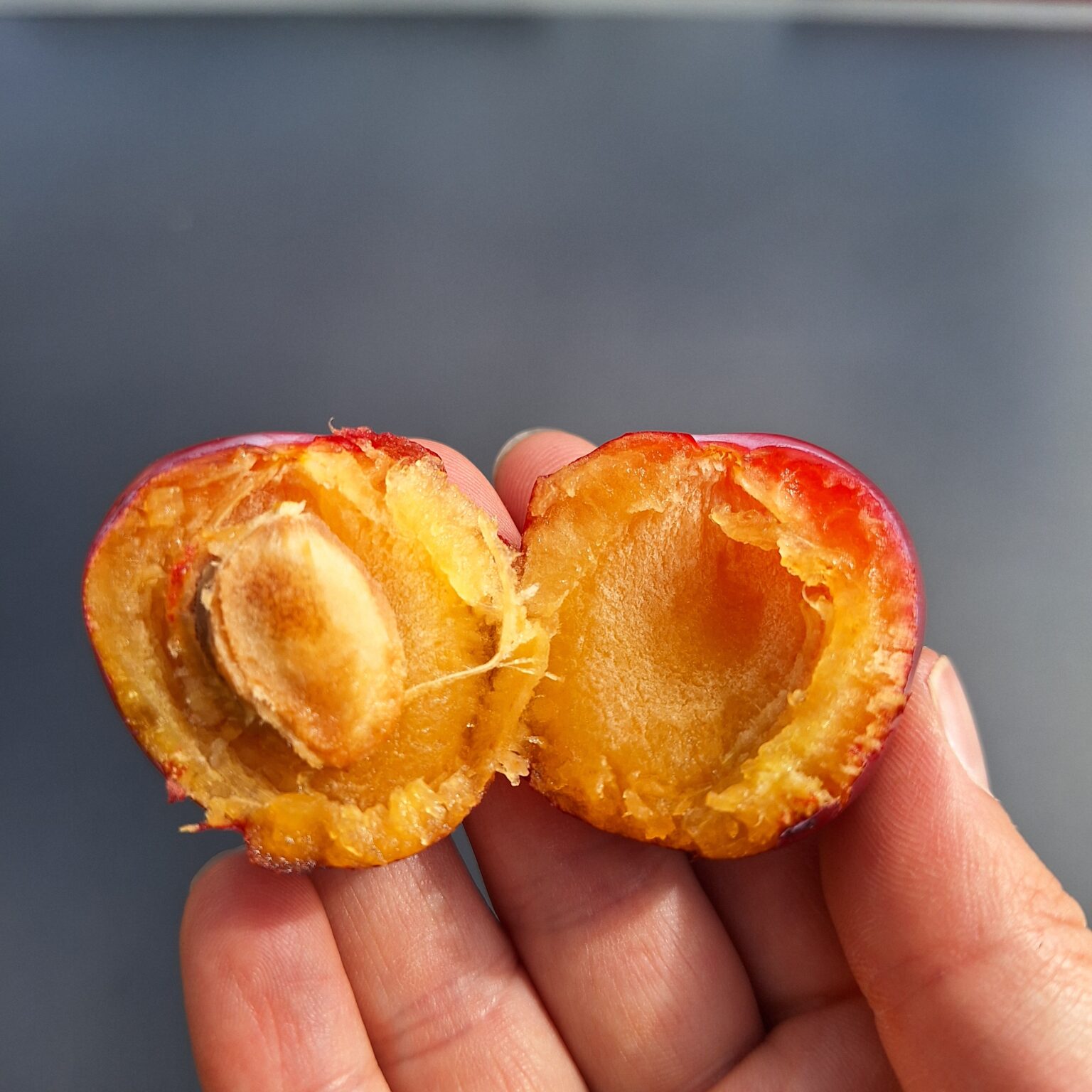 Queen Victoria – Image 3